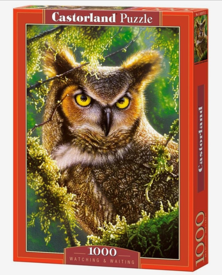 Screenshot_20260213_092537_Chrome