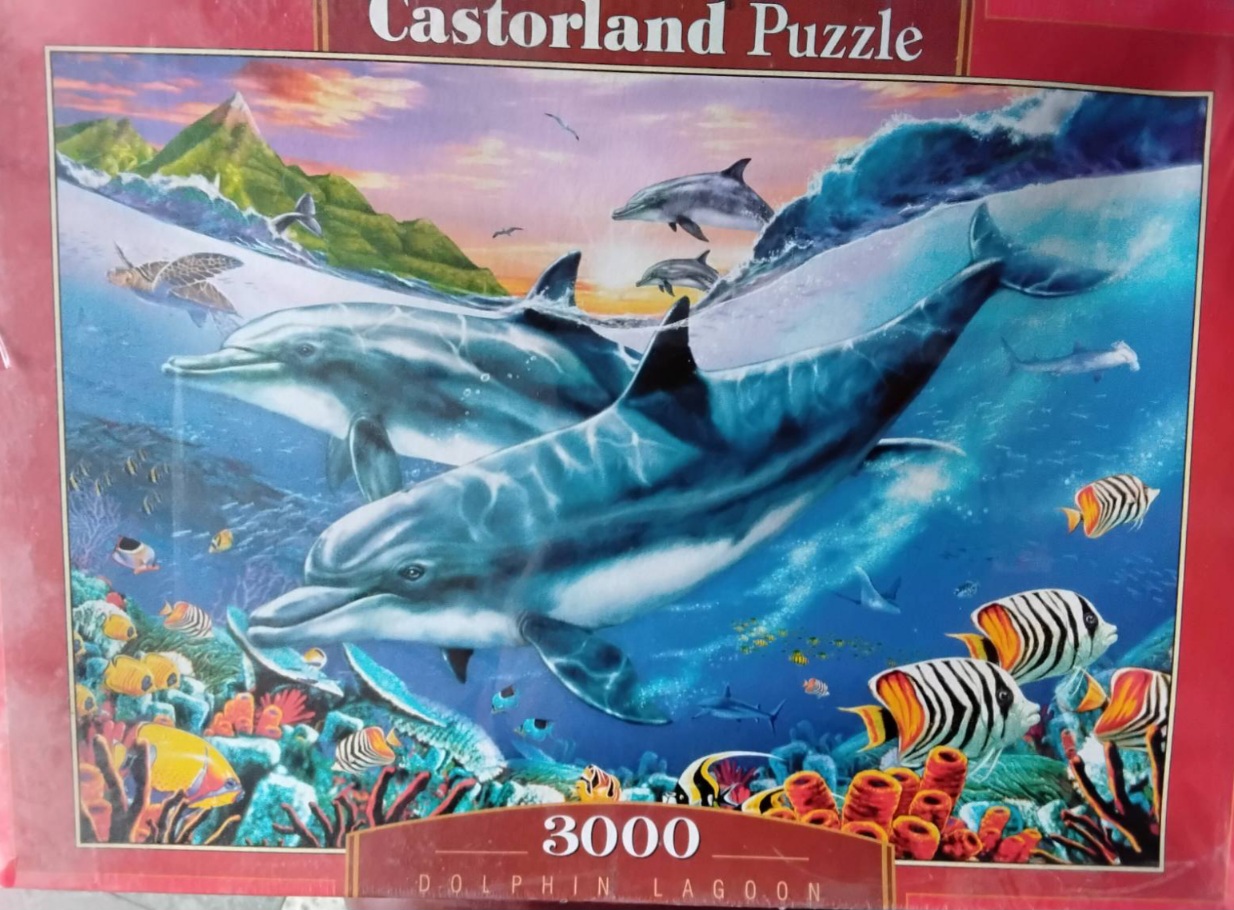 IMG-3d986426886d259daa6b367760b519e8-V