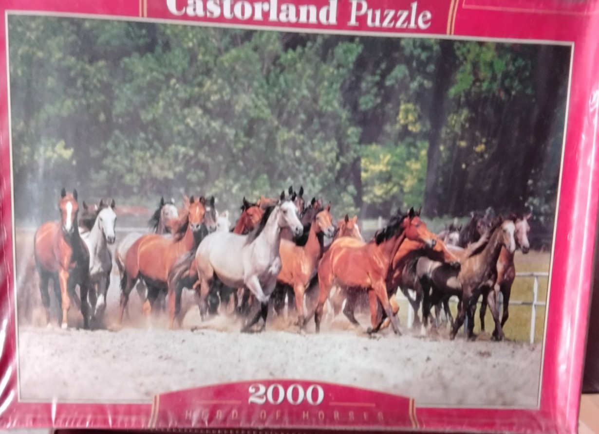 IMG-50c05966a484f1a5c47a126178be521f-V