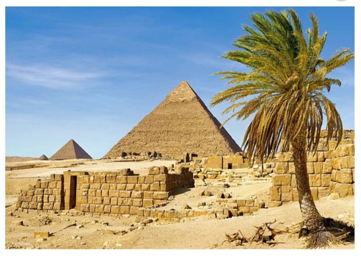 Screenshot_20260206_172831_Chrome