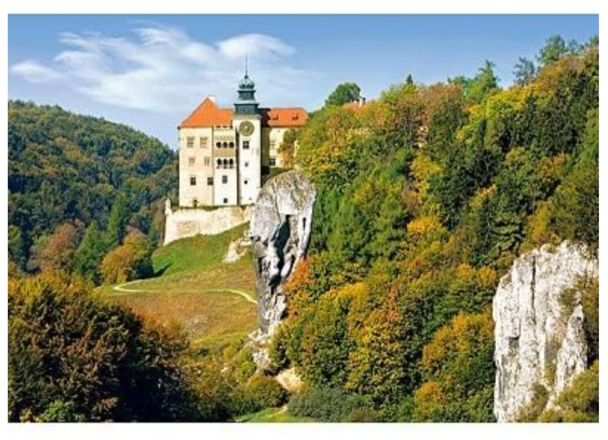 Screenshot_20260206_175042_Chrome