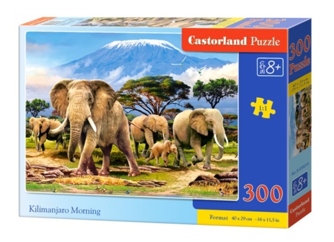 Screenshot_20260211_211300_Chrome