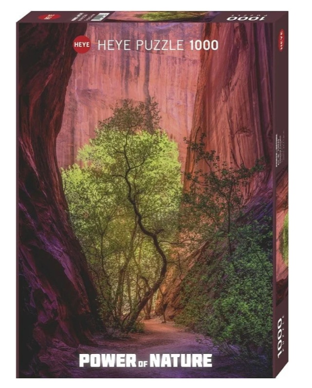 Screenshot_20260217_110833_Chrome