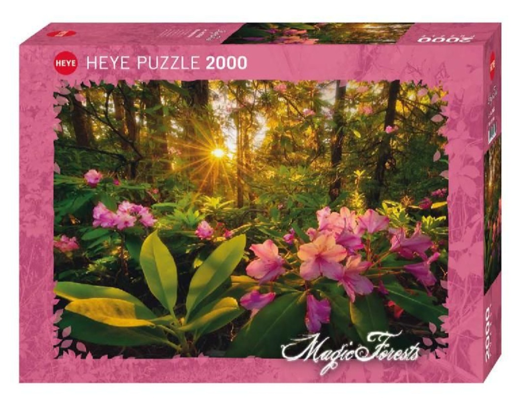 Screenshot_20260219_081432_Chrome